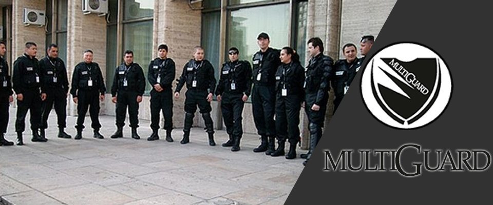 MultiGuard.ro Servicii